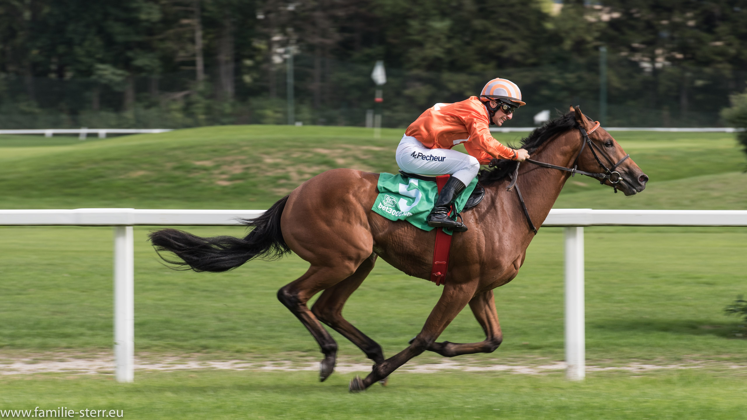 Galopprennen Riem 2015